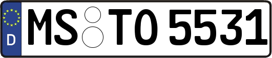 MS-TO5531
