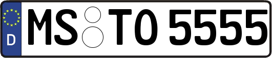 MS-TO5555