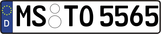 MS-TO5565