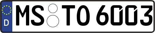MS-TO6003