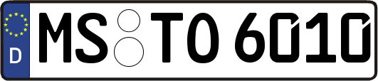 MS-TO6010