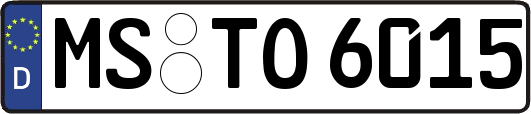 MS-TO6015