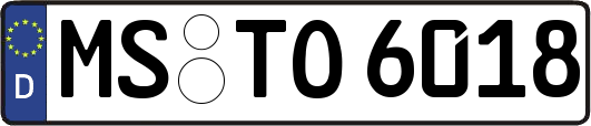 MS-TO6018