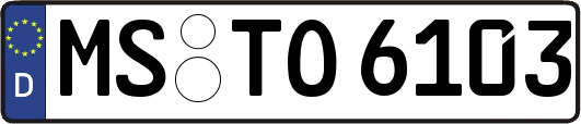 MS-TO6103