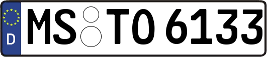 MS-TO6133