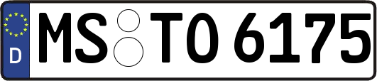 MS-TO6175