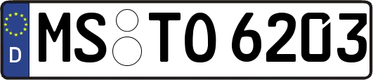 MS-TO6203