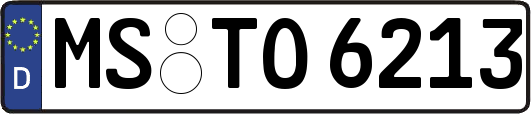 MS-TO6213