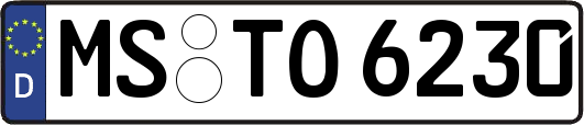 MS-TO6230