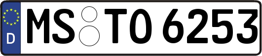 MS-TO6253