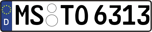 MS-TO6313