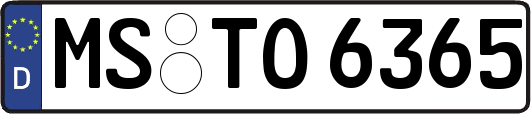 MS-TO6365