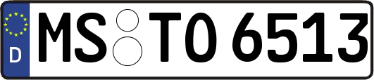MS-TO6513
