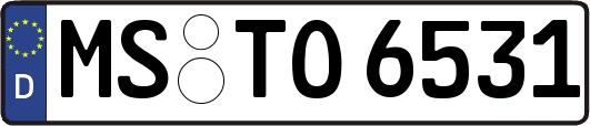 MS-TO6531