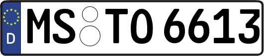MS-TO6613
