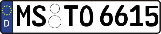 MS-TO6615