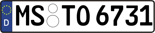 MS-TO6731