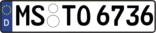 MS-TO6736