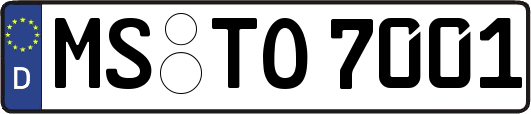 MS-TO7001
