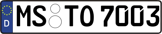 MS-TO7003