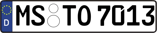 MS-TO7013