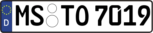 MS-TO7019