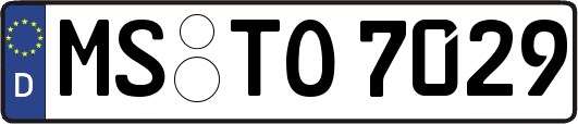 MS-TO7029