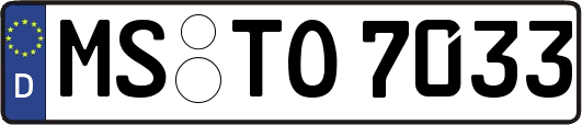 MS-TO7033