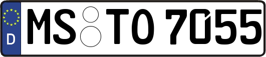 MS-TO7055