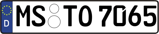 MS-TO7065