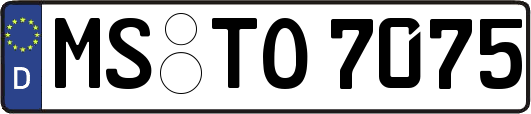 MS-TO7075
