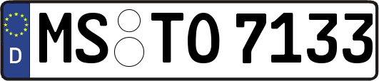MS-TO7133