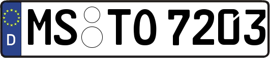 MS-TO7203