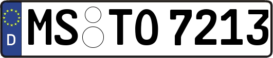 MS-TO7213