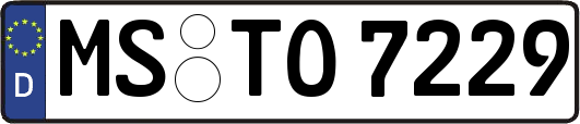MS-TO7229