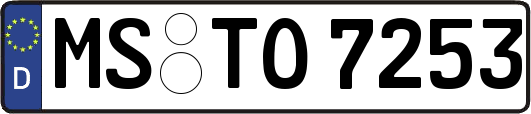 MS-TO7253