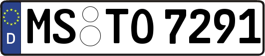 MS-TO7291