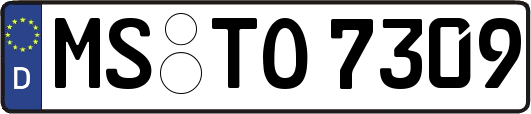 MS-TO7309