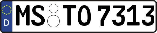 MS-TO7313