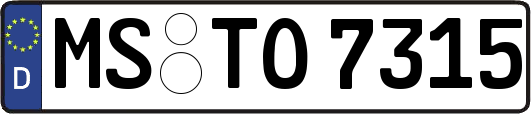 MS-TO7315