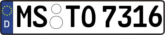 MS-TO7316