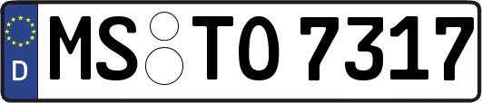 MS-TO7317