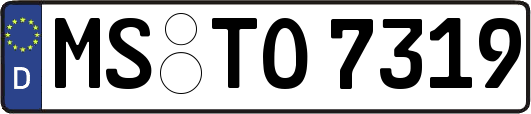 MS-TO7319