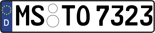 MS-TO7323