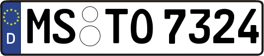 MS-TO7324