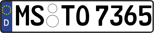 MS-TO7365