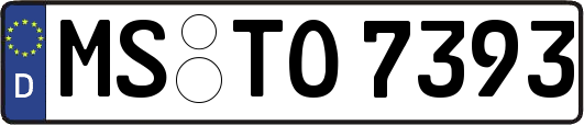 MS-TO7393