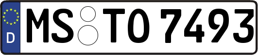 MS-TO7493