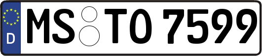 MS-TO7599