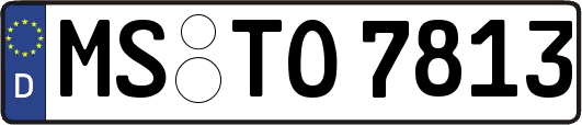 MS-TO7813